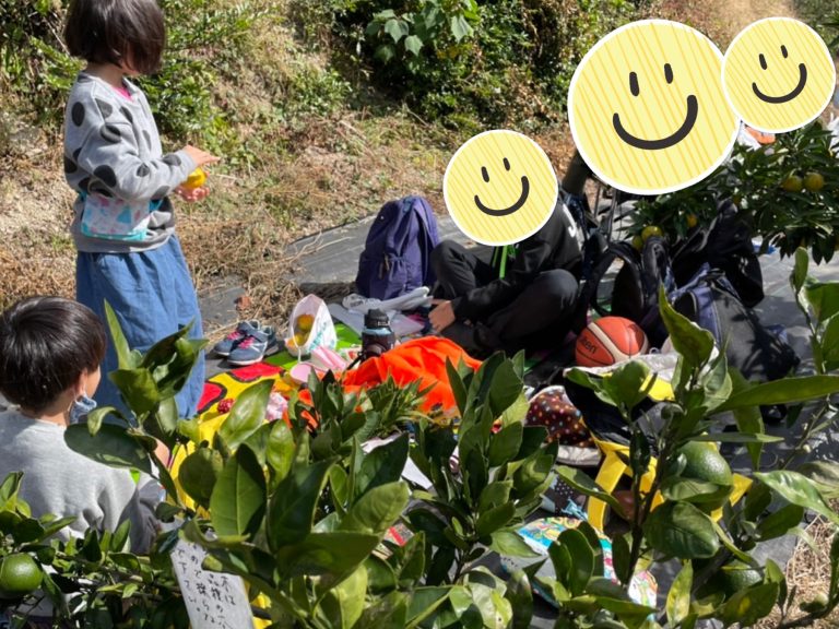 みかん狩りに行きました